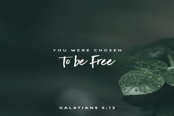 scripture2